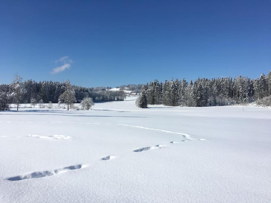 Fritzis Alpenidyll „Sommertraum & Winterromantik” 萨默贝格 外观 照片